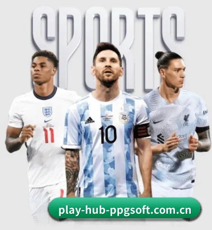 play-hub-ppgsoft.com.cn的故事