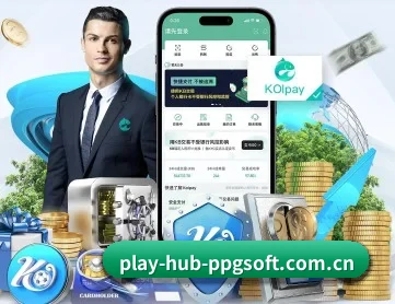 play-hub-ppgsoft.com.cn APP 深度功能